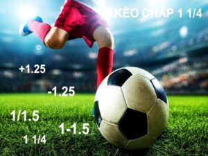 Kèo 1 1/4 là sao? Kinh nghiệm chơi kèo 1 1/4 hiệu quả